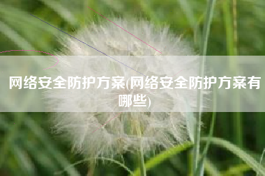 网络安全防护方案(网络安全防护方案有哪些)