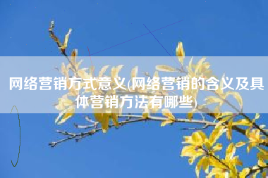 网络营销方式意义(网络营销的含义及具体营销方法有哪些)