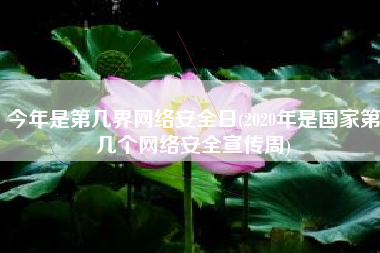 今年是第几界网络安全日(2020年是国家第几个网络安全宣传周)
