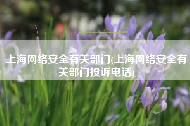上海网络安全有关部门(上海网络安全有关部门投诉电话)