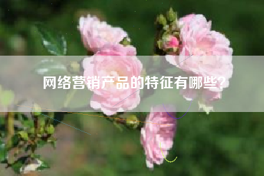 网络营销产品的特征有哪些？