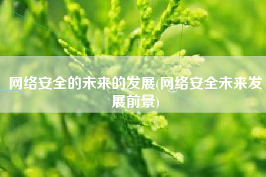 网络安全的未来的发展(网络安全未来发展前景)