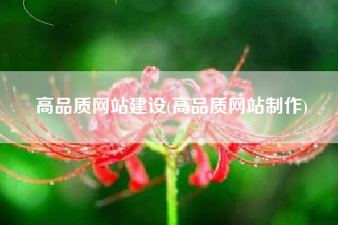 高品质网站建设(高品质网站制作)