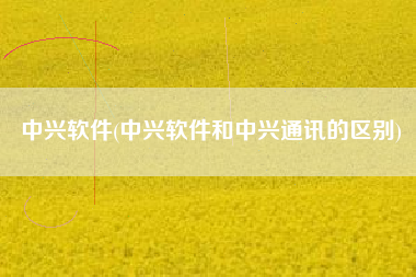 中兴软件(中兴软件和中兴通讯的区别)
