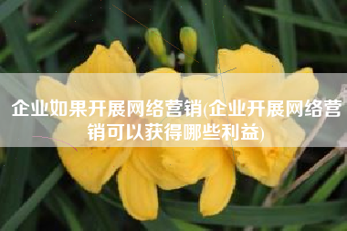 企业如果开展网络营销(企业开展网络营销可以获得哪些利益)