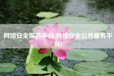 网络安全服务平台(网络安全公共服务平台)