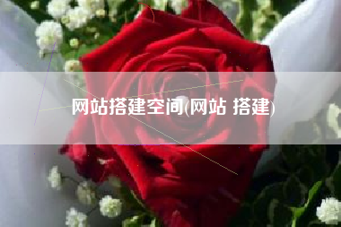 网站搭建空间(网站 搭建)