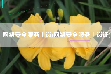 网络安全服务上岗(网络安全服务上岗证)