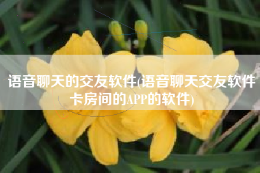 语音聊天的交友软件(语音聊天交友软件卡房间的APP的软件)