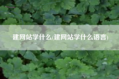 建网站学什么(建网站学什么语言)