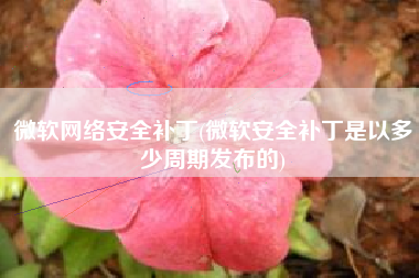 微软网络安全补丁(微软安全补丁是以多少周期发布的)