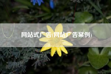 网站式广告(网站广告案例)