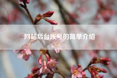 网站后台账号的简单介绍