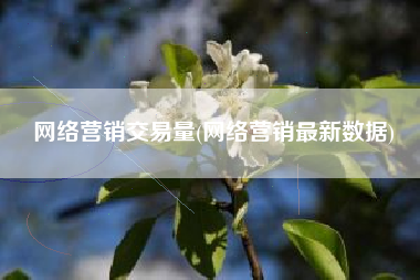 网络营销交易量(网络营销最新数据)