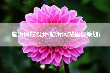 临沂网站设计(临沂网站建设策划)