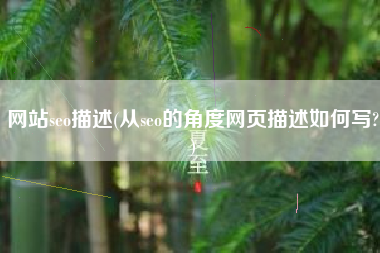 网站seo描述(从seo的角度网页描述如何写?)