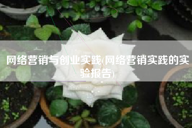 网络营销与创业实践(网络营销实践的实验报告)