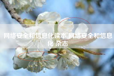 网络安全和信息化读本 网络安全和信息化 杂志
