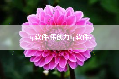 tp软件(伟创力ltp软件)