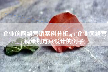 企业的网络营销案例分析ppt(企业网络营销策划方案设计的例子)