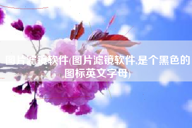 图片滤镜软件(图片滤镜软件,是个黑色的图标英文字母)