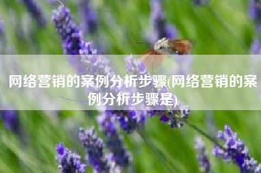 网络营销的案例分析步骤(网络营销的案例分析步骤是)