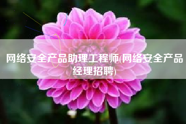 网络安全产品助理工程师(网络安全产品经理招聘)