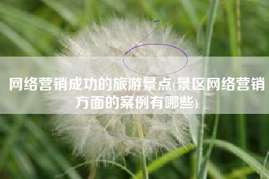 网络营销成功的旅游景点(景区网络营销方面的案例有哪些)