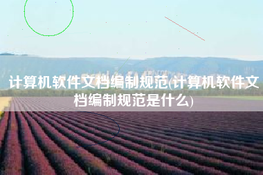 计算机软件文档编制规范(计算机软件文档编制规范是什么)