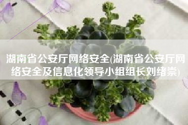 湖南省公安厅网络安全(湖南省公安厅网络安全及信息化领导小组组长刘绪崇)