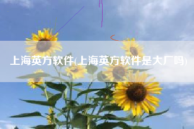上海英方软件(上海英方软件是大厂吗)
