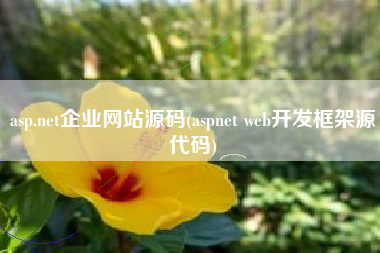asp.net企业网站源码(aspnet web开发框架源代码)