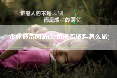 企业报备网站(公司报备资料怎么做)