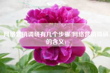 网络营销调研有几个步骤(网络营销调研的含义)