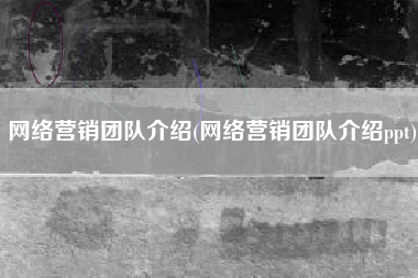 网络营销团队介绍(网络营销团队介绍ppt)