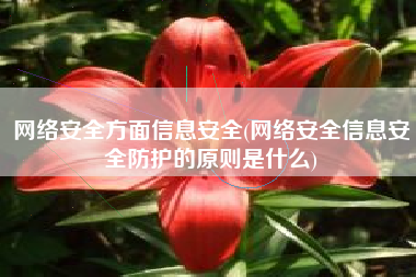 网络安全方面信息安全(网络安全信息安全防护的原则是什么)
