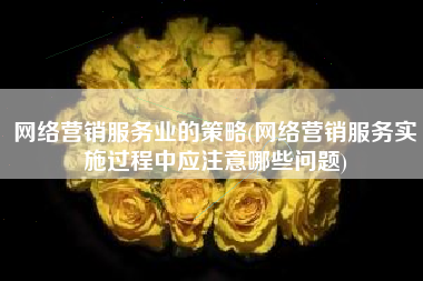 网络营销服务业的策略(网络营销服务实施过程中应注意哪些问题)