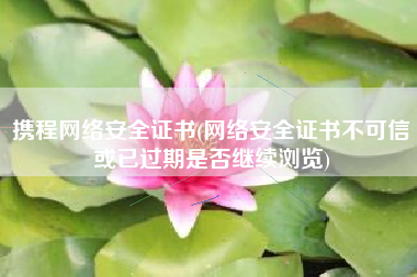 携程网络安全证书(网络安全证书不可信或已过期是否继续浏览)