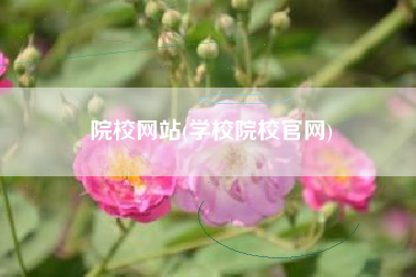 院校网站(学校院校官网)