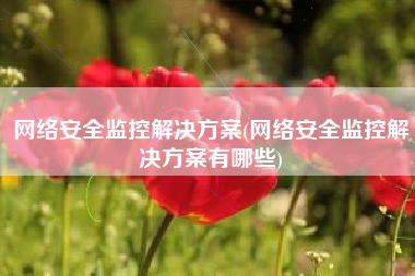 网络安全监控解决方案(网络安全监控解决方案有哪些)