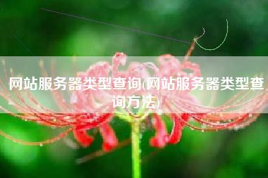 网站服务器类型查询(网站服务器类型查询方法)