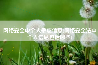 网络安全中个人敏感信息(网络安全法中个人信息包括哪些)