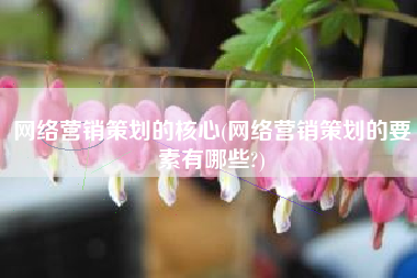 网络营销策划的核心(网络营销策划的要素有哪些?)
