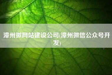漳州微网站建设公司(漳州微信公众号开发)