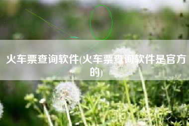 火车票查询软件(火车票查询软件是官方的)