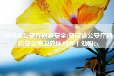 安徽省公安厅网络安全(安徽省公安厅网络安全保卫总队别称十处吗?)