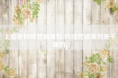上面是网络营销策划(网络营销策划是干嘛的)