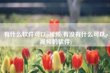 有什么软件可以p视频(有没有什么可以p视频的软件)