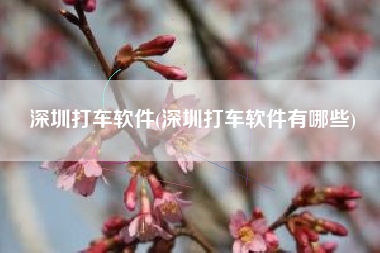 深圳打车软件(深圳打车软件有哪些)