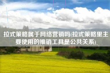拉式策略属于网络营销吗(拉式策略里主要使用的推销工具是公共关系)